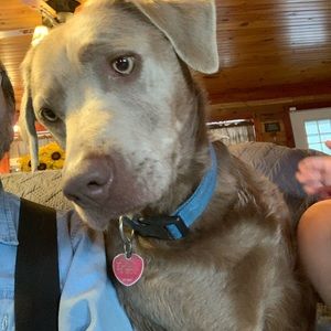 Meet your Posher, Johnny